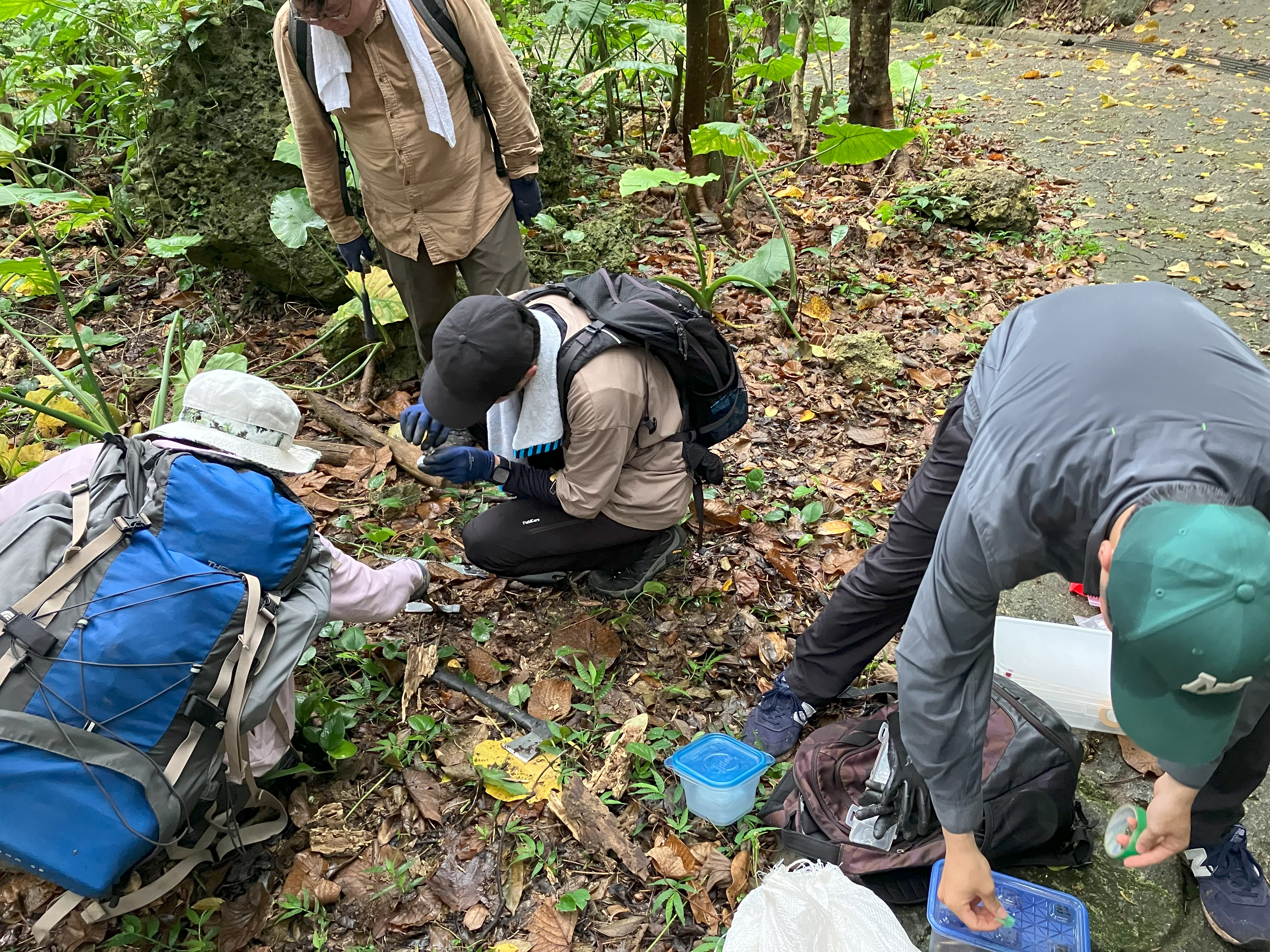 230526-28_沖縄サンプリング_1